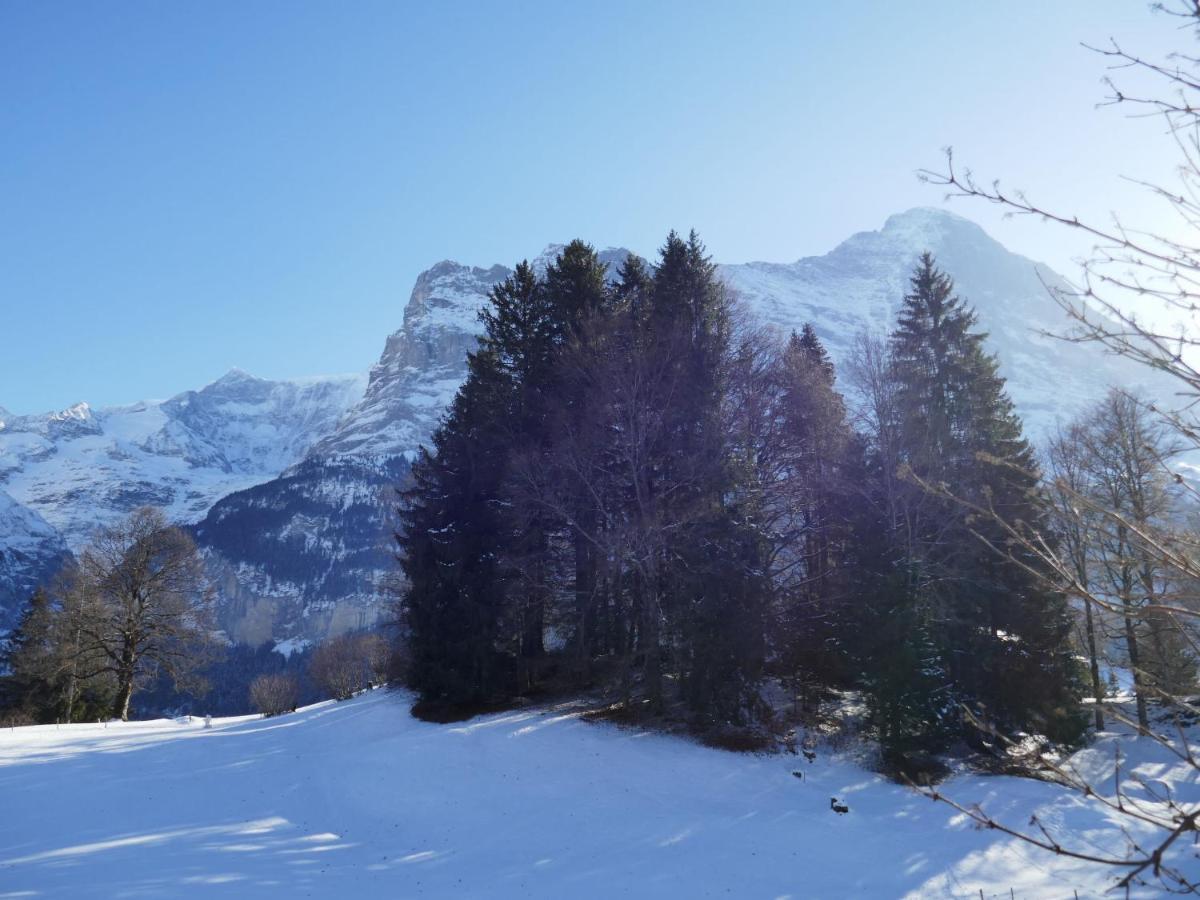 Apartment Blaugletscher Grindelwald
